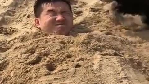 Animal funny videos comedy