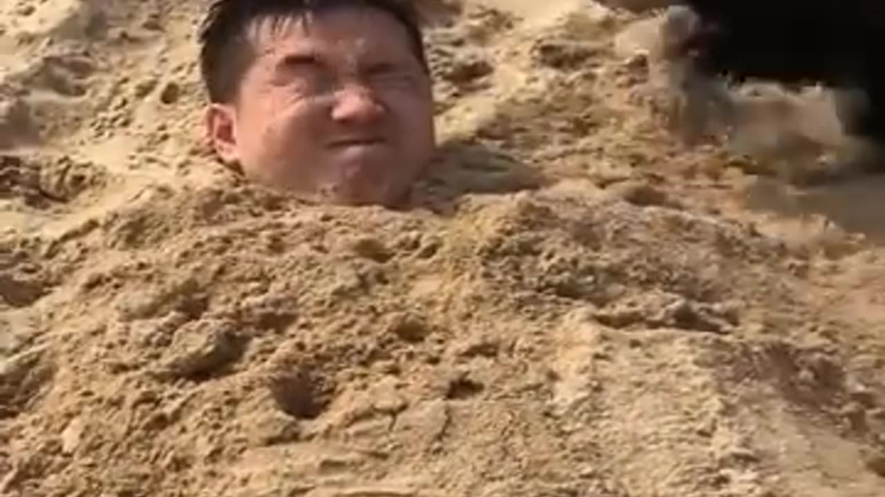 Animal funny videos comedy