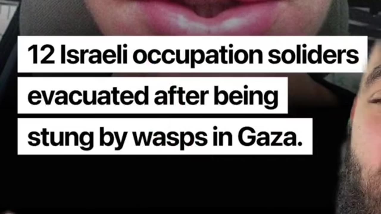 israhell wasped