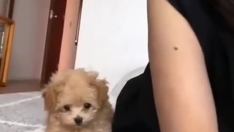Strange and funny behavior of animals 888
