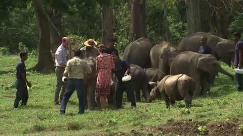 Kate and William feed baby elephants and rhinos