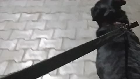 New video one