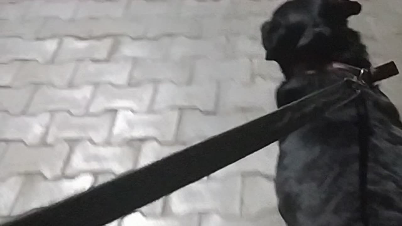 New video one