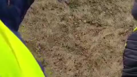 Jeśli ten chuligan jest obywatelem Izraela, to przynosi Izraelowi wstyd