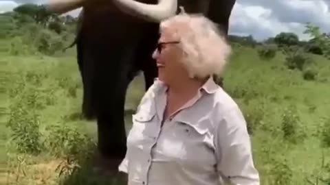 Elephant With A Good Sense Of Humor #shorts #viral #shortsvideo #video