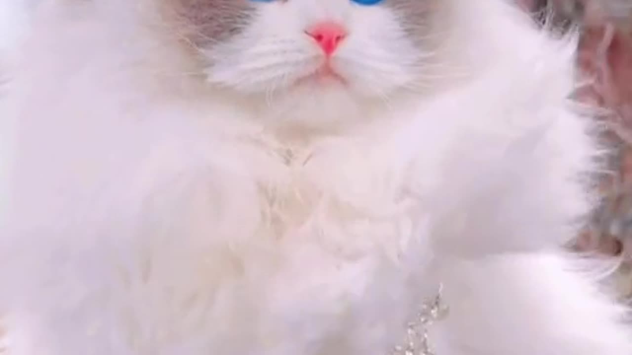 Have you ever seen such a beautiful princess