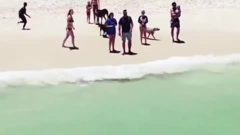 Most viewed video in Perth!