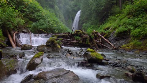 6 Relaxing Nature Meditations 😌 Smithsonian Channel