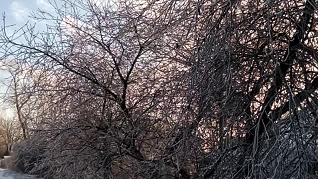 Good in winter