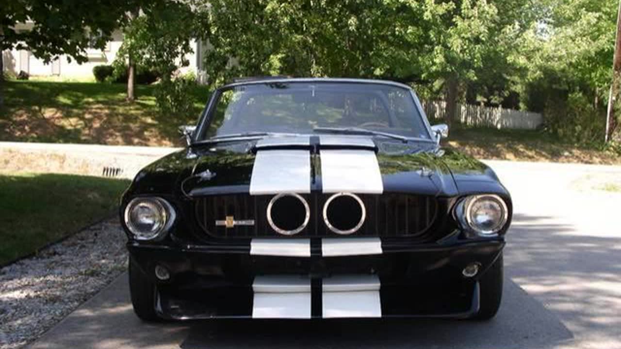 Muscle American Cars|Tribute to the Shelby GTO