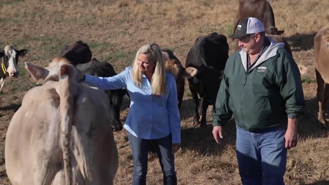 American Humane certifies welfare of world's animals