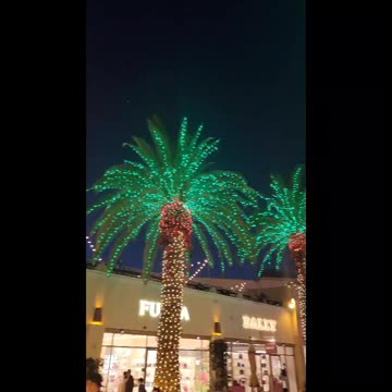 This is how we Celebrate Christmas in Southern California!