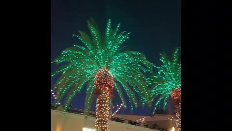 This is how we Celebrate Christmas in Southern California!