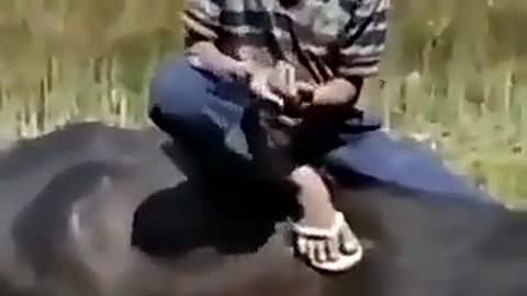 Funny Shorts Video😂🤣