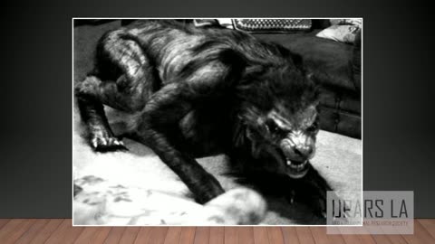 Navajo Ranger, Jonathan Dover: Skinwalkers, UFOs, Bigfoot & Paranormal Exploits