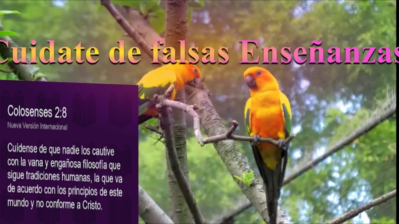 Cuidate de falsas Enseñanzas. _- Devocional