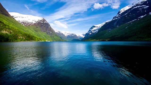 Nature Scenery for Painting