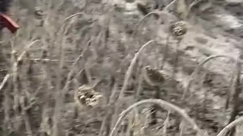Ukrainian soldiers leave Bakhmut
