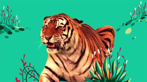 Animal Songs- 'Tiger in the Jungle,' by StoryBots - Netflix Jr_Cut