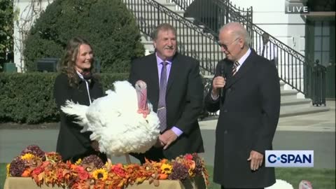 Biden Decides To Compare Turkeys With Nations He Has Visited