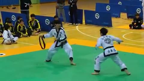 Hapkido