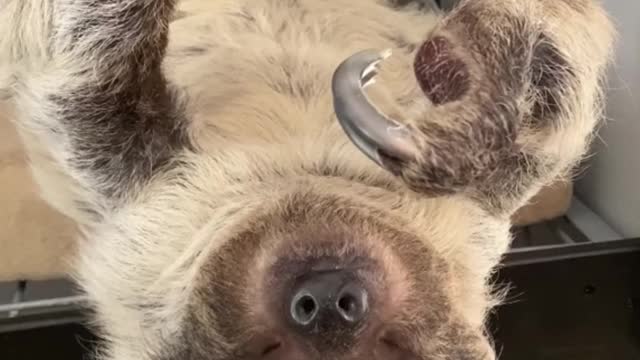 What is this naughty little guy doing? Is he bored