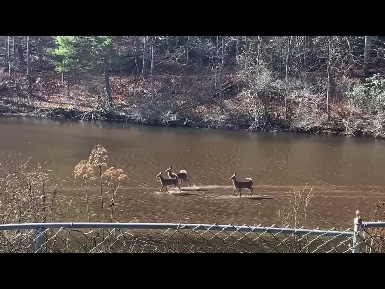 Scenic Yancey County NC #SaveAmerica VOTE RED TOMORROW ❤️ ✝️ 🇺🇸