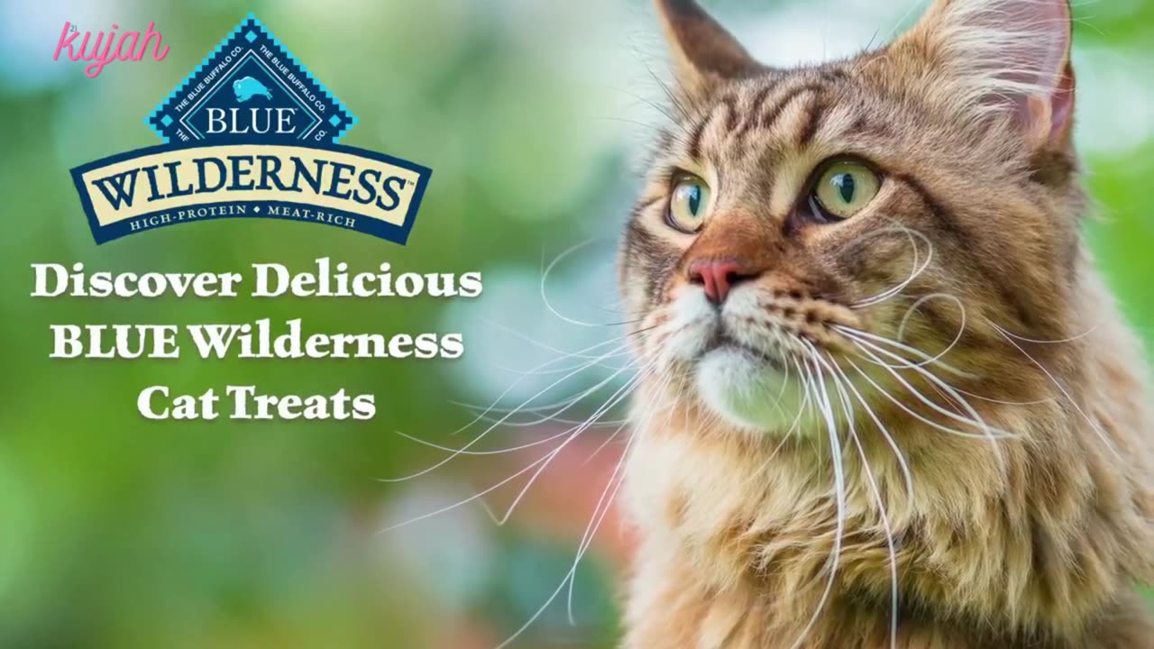 Blue Buffalo Wilderness Crunchy Cat Treats, Chicken 12-oz Tub