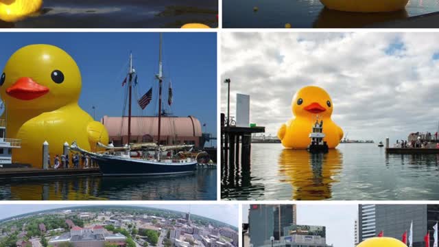 White Hats Are In Full Control