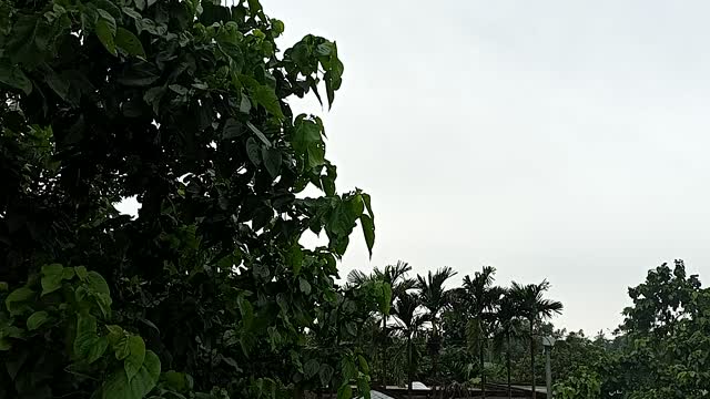 Raining season sky view natural