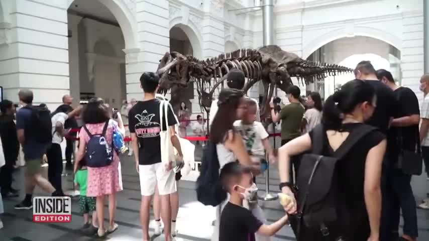 45_Thousands Flock to See T.Rex Skeleton Before Auction