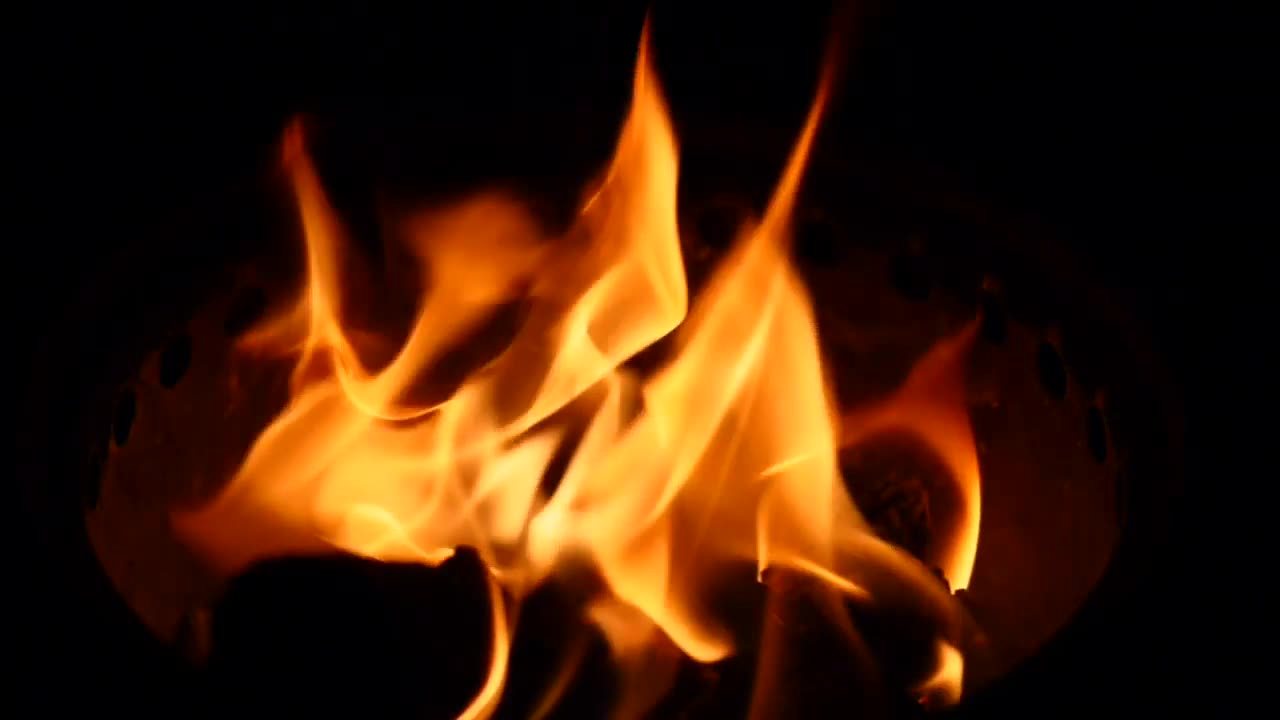 Free Stock Video: Burning Firewood