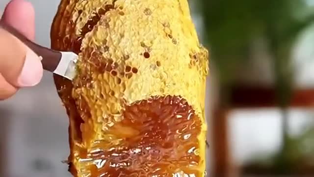 ASMR Satisfying video honeycomb