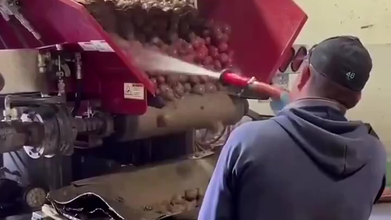 Painting Potatoes Red To Sell For More $$$