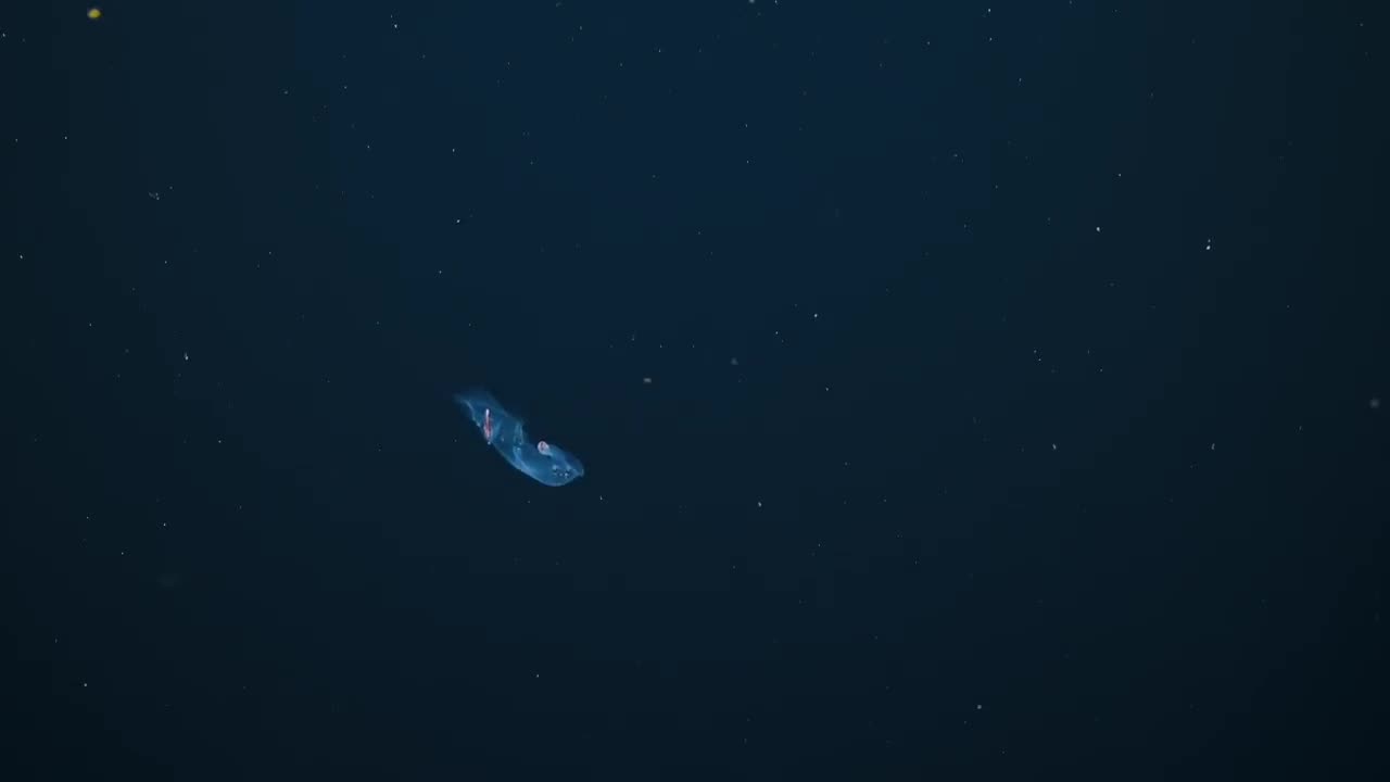 Mysteries of the Twilight Zone Worlds of the Deep