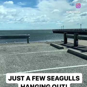 WOULDN’T YOU DO IT TOO?!!