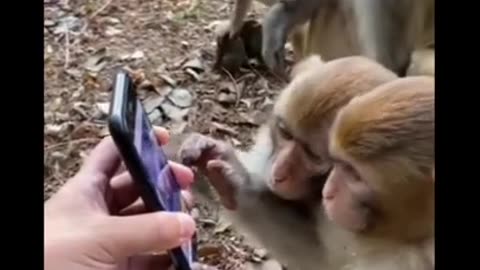 Munck with so funny comedy entertainment video 😂😂