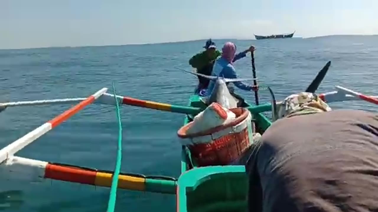 212kls.. Massive Marlin....ito poh yung pinaka malaking huli namin ngayung taon