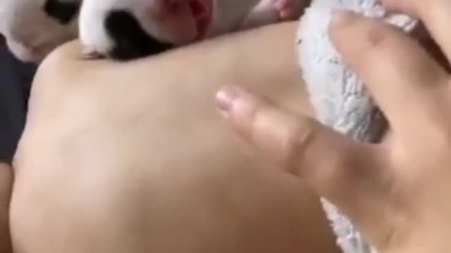 Cute baby with puppies sleeping