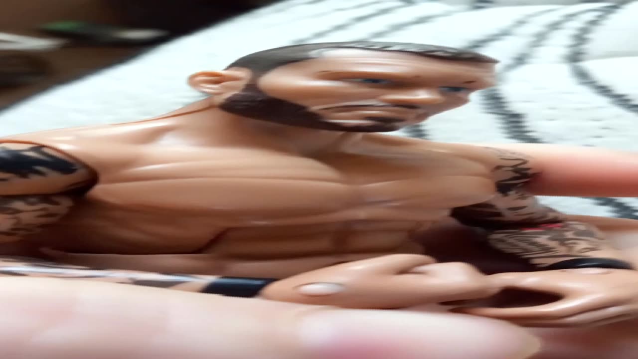 Cm Punk Paranormal investgation