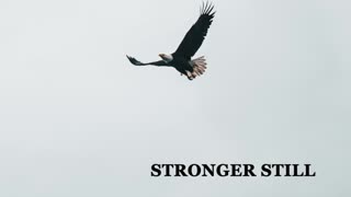Pray USA, 1/21/23 Stronger Still
