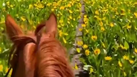 Riding