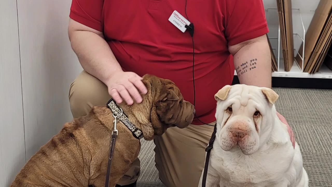 Aurora & Tindrah's February Photo Challenge