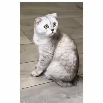 A GIGGLE 4 YOU 3-10-23