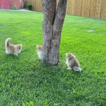 . 🤣😂🤣😂🤣