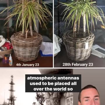 6 week before and after electroculture and how electroculture relates to the Eiffel Tower.