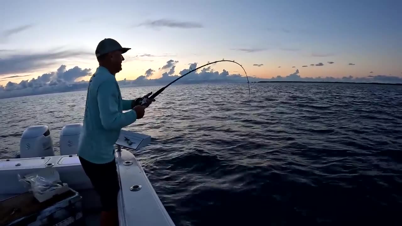 Day 2 of our Dream Vacation in the Bahamas! (Snapper, Conch and Hogfish Catch Clean & Cook)