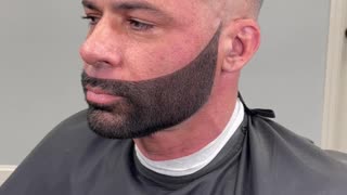 Hilarious Beard Enhancement