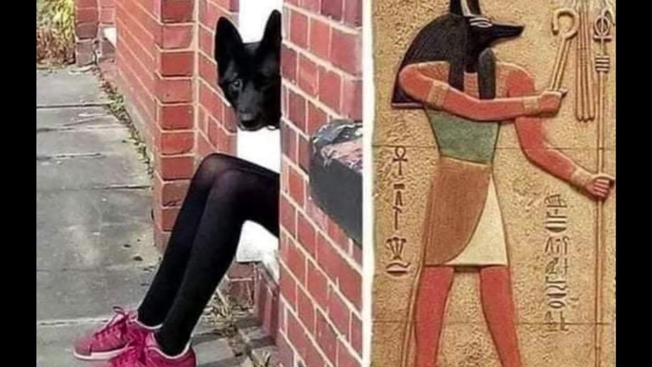 Random Memes 252