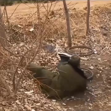 Love, loyalty, strength and courage